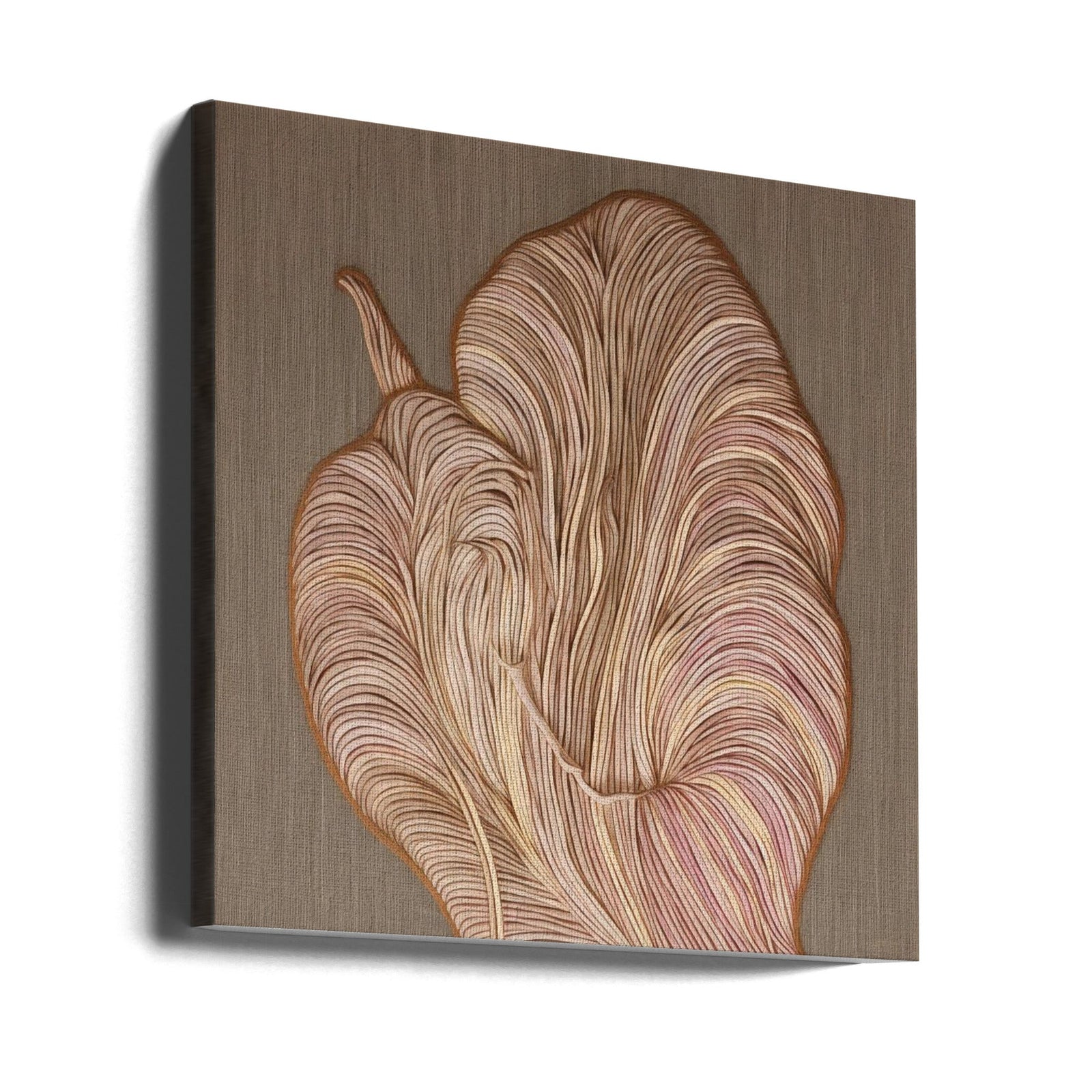 Flora IV - Square Stretched Canvas, Poster or Fine Art Print I Heart Wall Art