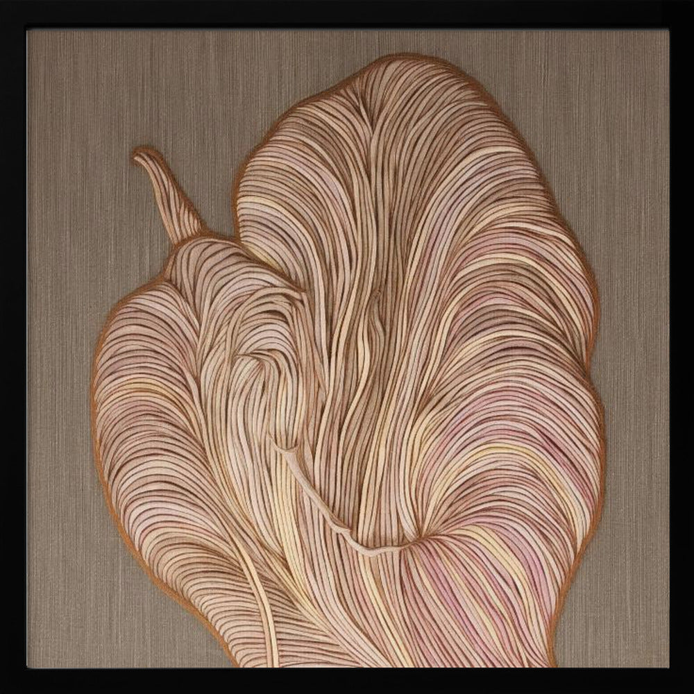 Flora IV - Square Stretched Canvas, Poster or Fine Art Print I Heart Wall Art