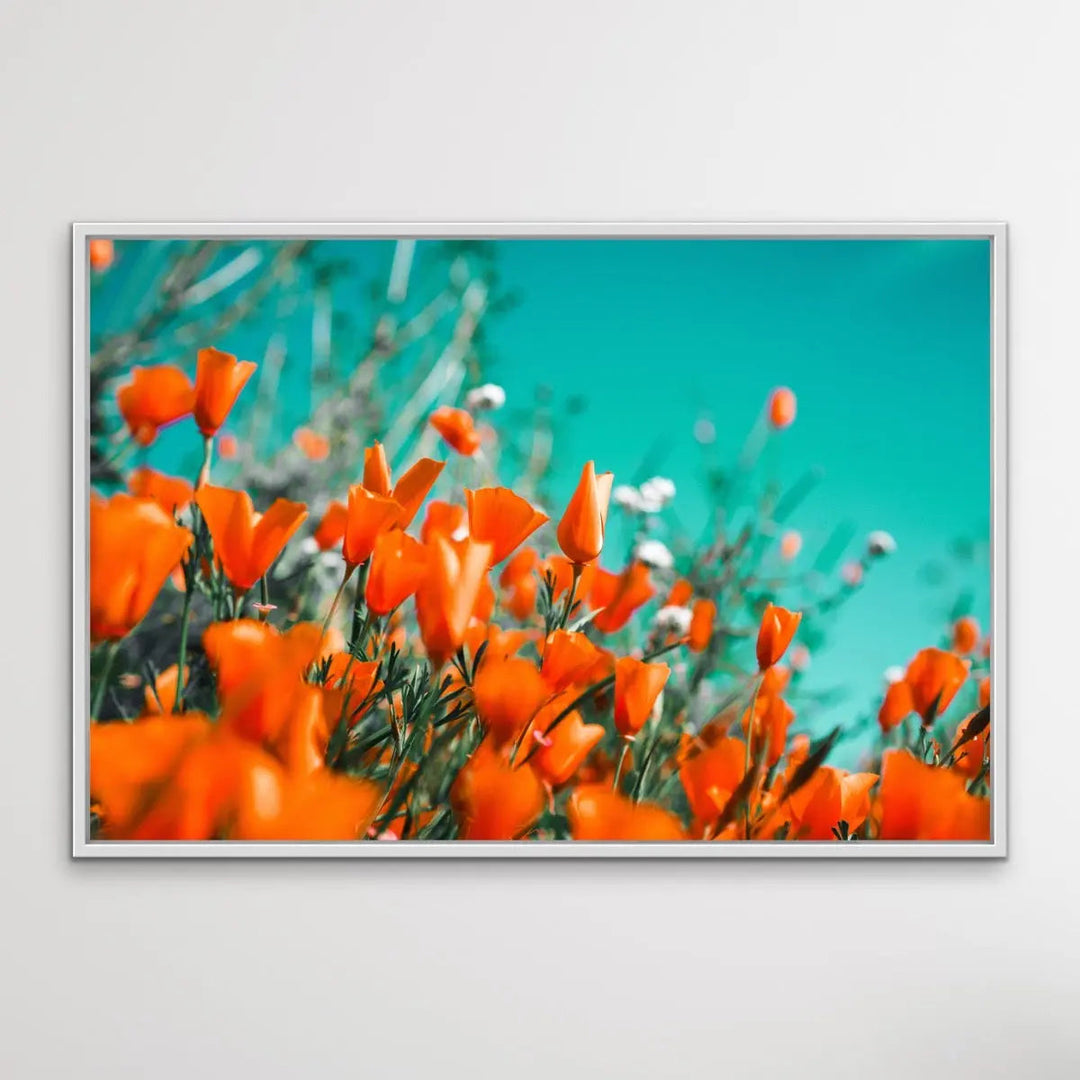 Floral Wonder - Blue and Orange Floral Photographic Print I Heart Wall Art Australia 