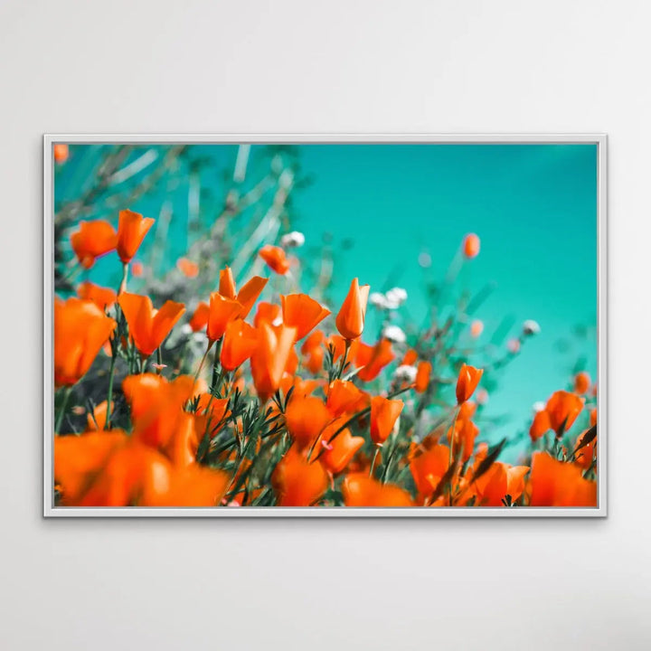Floral Wonder - Blue and Orange Floral Photographic Print I Heart Wall Art Australia 