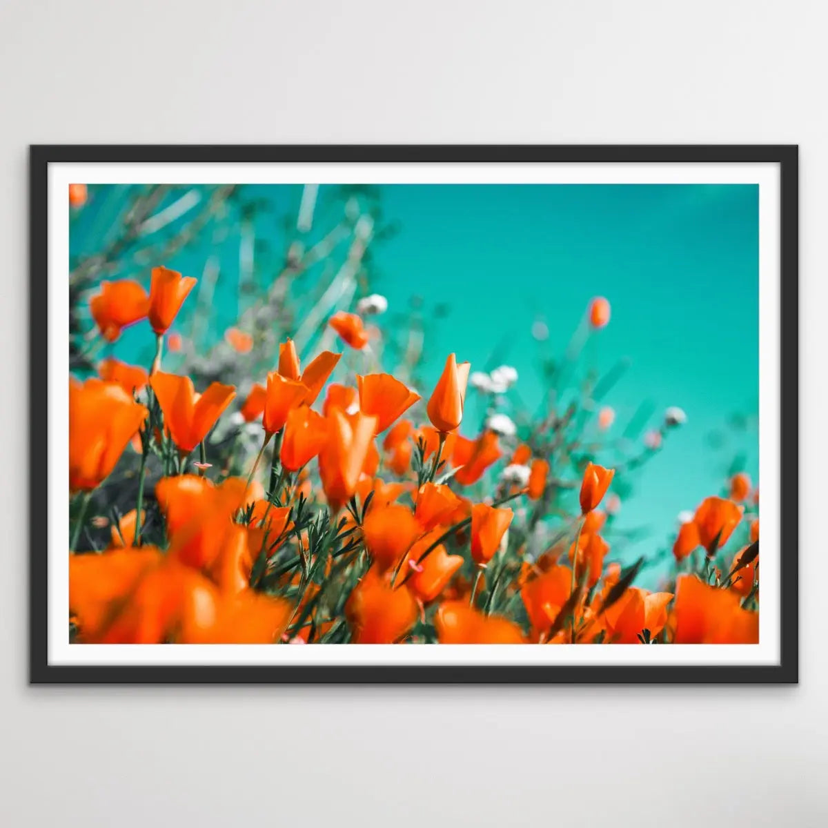 Floral Wonder - Blue and Orange Floral Photographic Print I Heart Wall Art Australia 