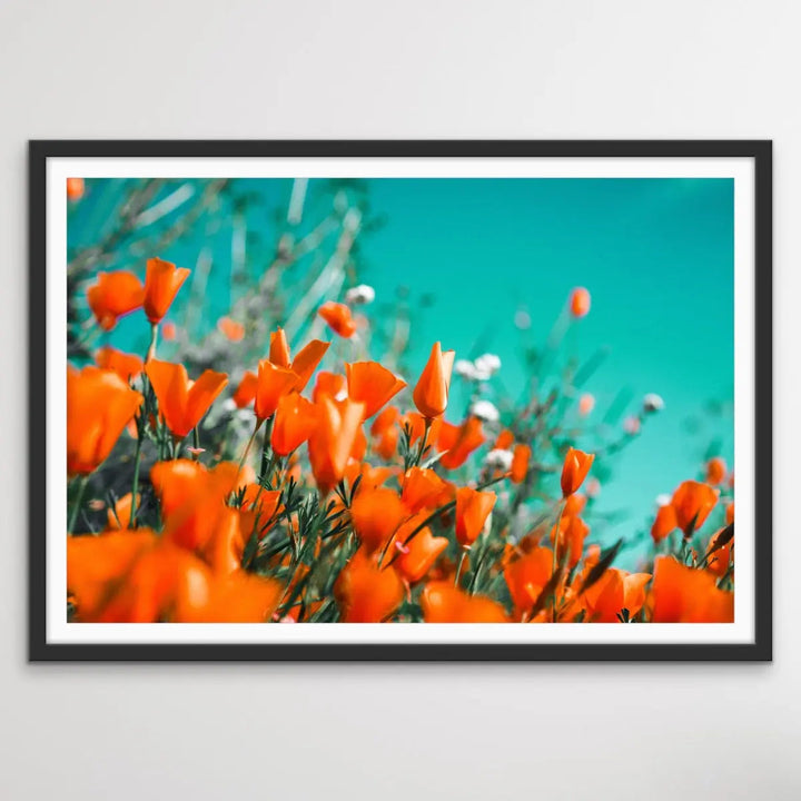 Floral Wonder - Blue and Orange Floral Photographic Print I Heart Wall Art Australia 