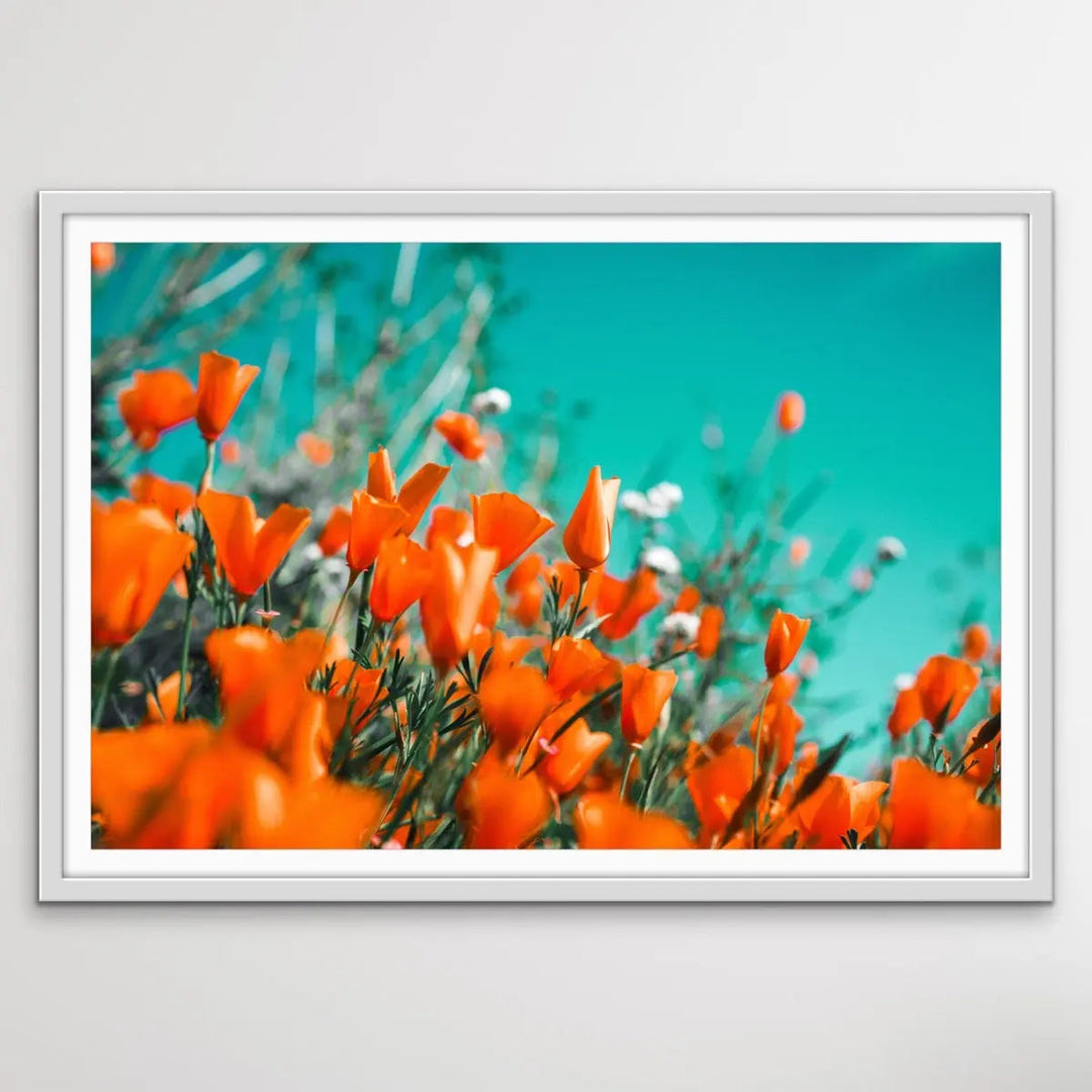 Floral Wonder - Blue and Orange Floral Photographic Print I Heart Wall Art Australia 