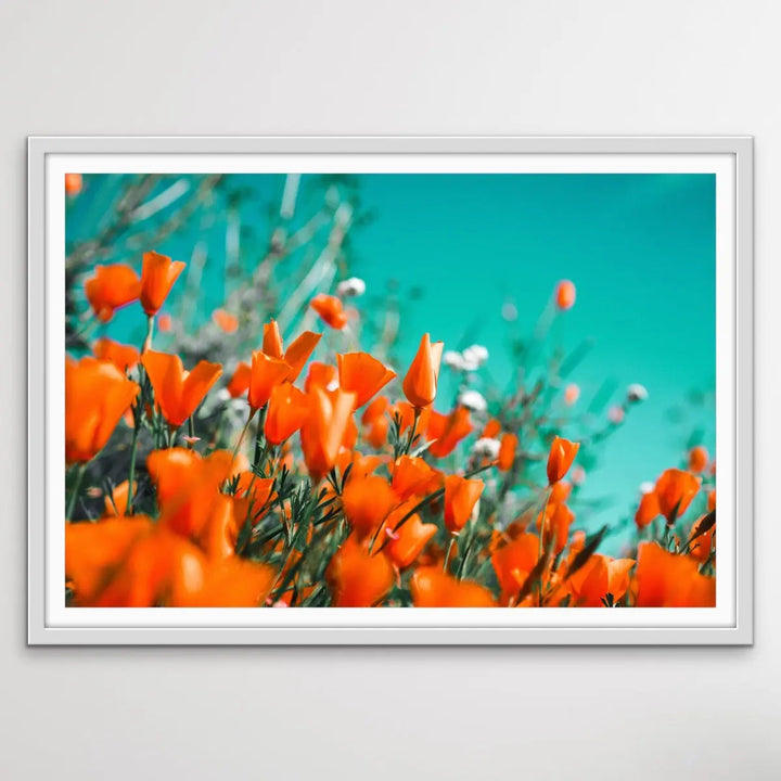 Floral Wonder - Blue and Orange Floral Photographic Print I Heart Wall Art Australia 