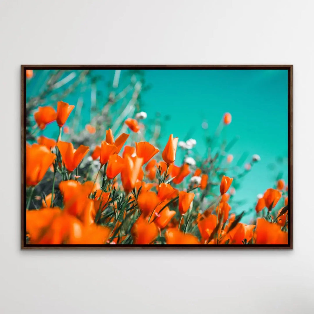 Floral Wonder - Blue and Orange Floral Photographic Print I Heart Wall Art Australia 