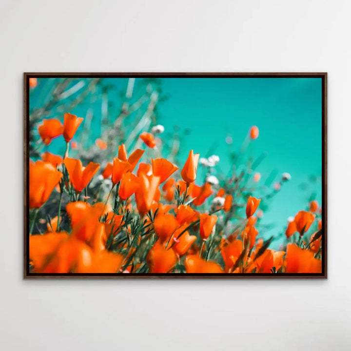 Floral Wonder - Blue and Orange Floral Photographic Print I Heart Wall Art Australia 