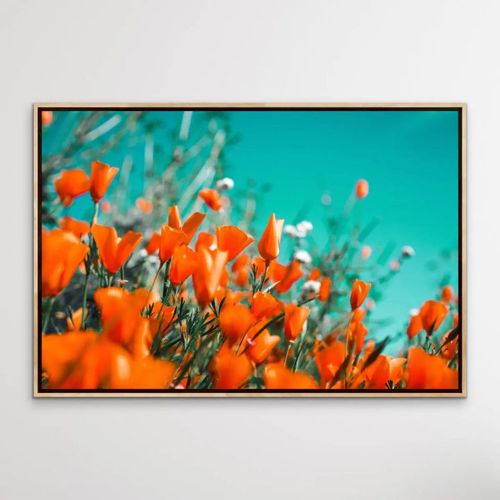 Floral Wonder - Blue and Orange Floral Photographic Print I Heart Wall Art Australia 