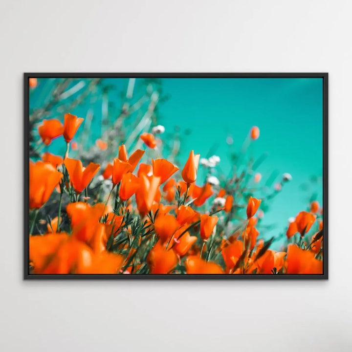 Floral Wonder - Blue and Orange Floral Photographic Print I Heart Wall Art Australia 
