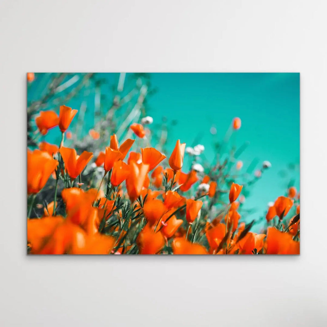 Floral Wonder - Blue and Orange Floral Photographic Print I Heart Wall Art Australia 