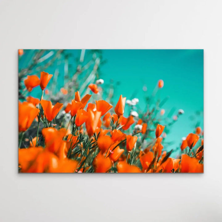 Floral Wonder - Blue and Orange Floral Photographic Print I Heart Wall Art Australia 