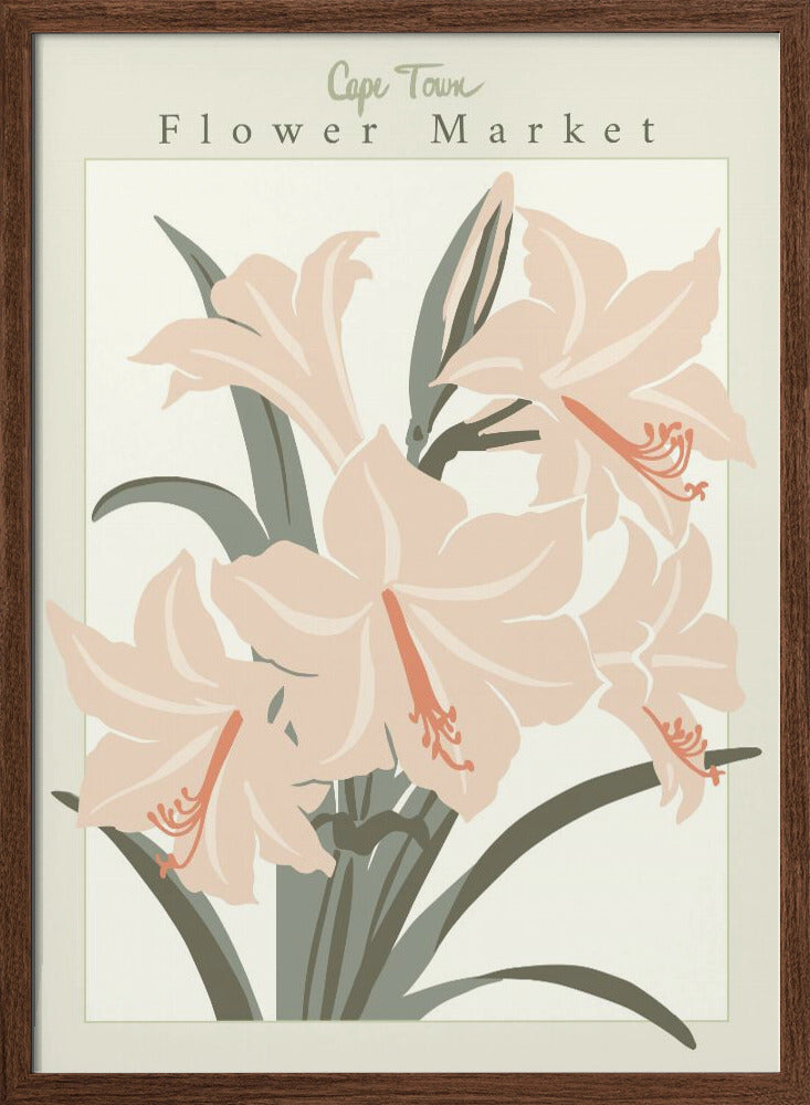 Flower Market Cap Town Amaryllis - Stretched Canvas, Poster or Fine Art Print I Heart Wall Art