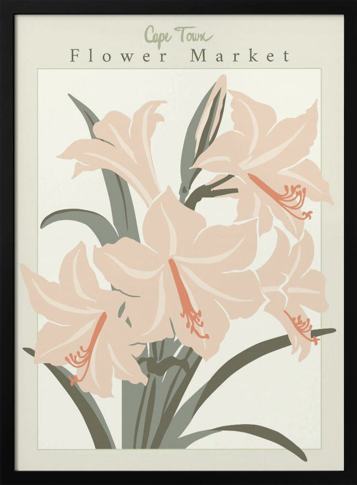 Flower Market Cap Town Amaryllis - Stretched Canvas, Poster or Fine Art Print I Heart Wall Art
