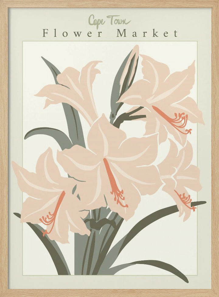 Flower Market Cap Town Amaryllis - Stretched Canvas, Poster or Fine Art Print I Heart Wall Art