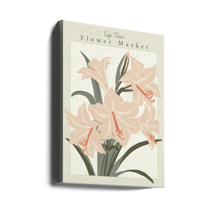 Flower Market Cap Town Amaryllis - Stretched Canvas, Poster or Fine Art Print I Heart Wall Art