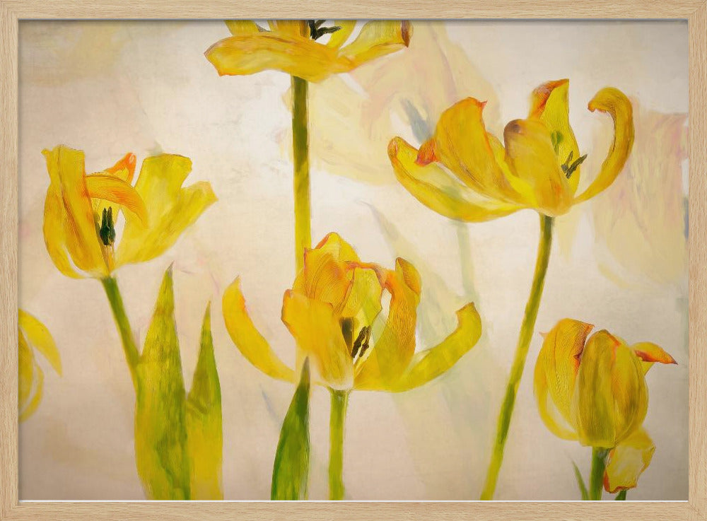 Flowering tulips - Stretched Canvas, Poster or Fine Art Print I Heart Wall Art