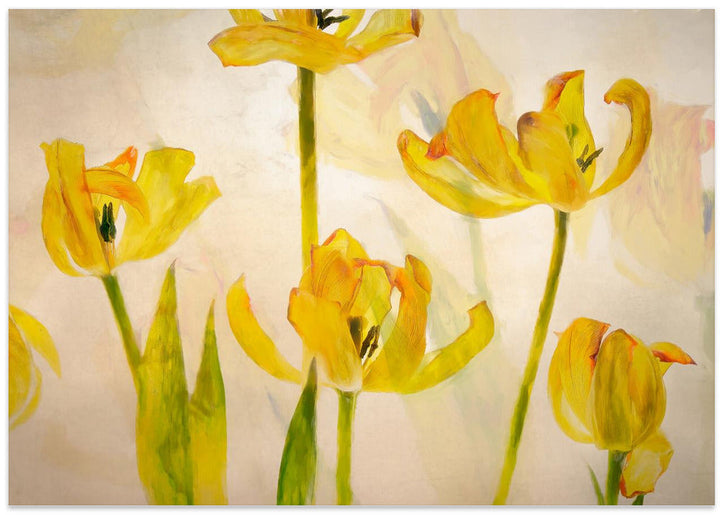 Flowering tulips - Stretched Canvas, Poster or Fine Art Print I Heart Wall Art