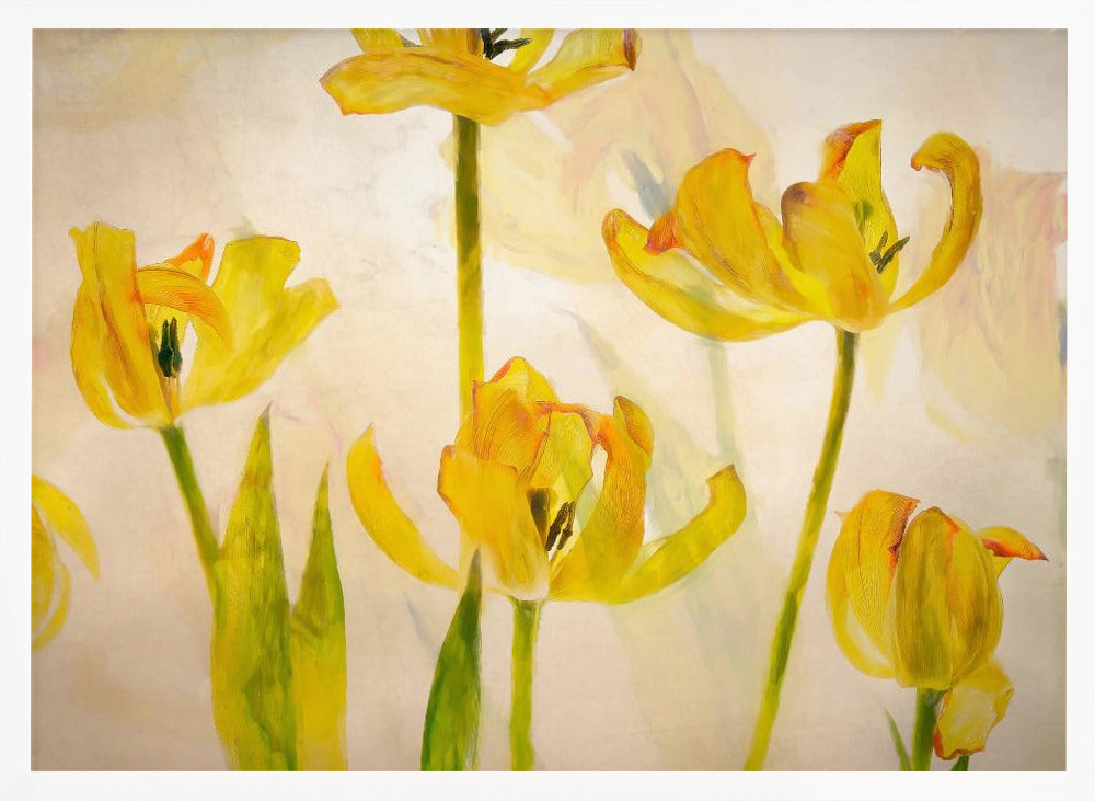 Flowering tulips - Stretched Canvas, Poster or Fine Art Print I Heart Wall Art