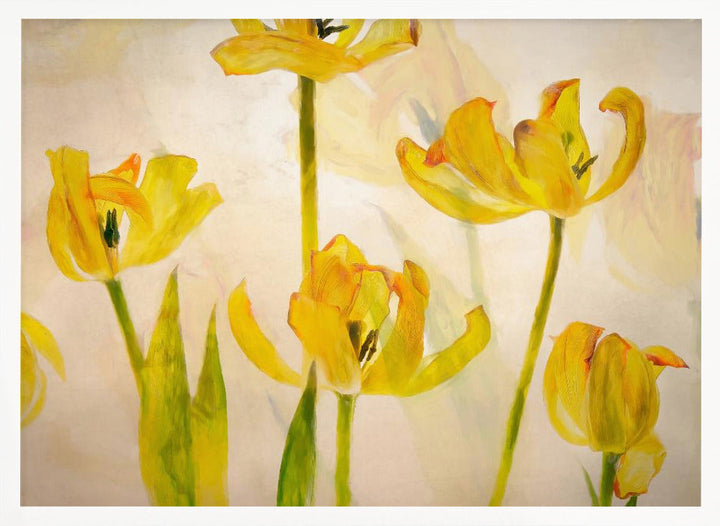 Flowering tulips - Stretched Canvas, Poster or Fine Art Print I Heart Wall Art