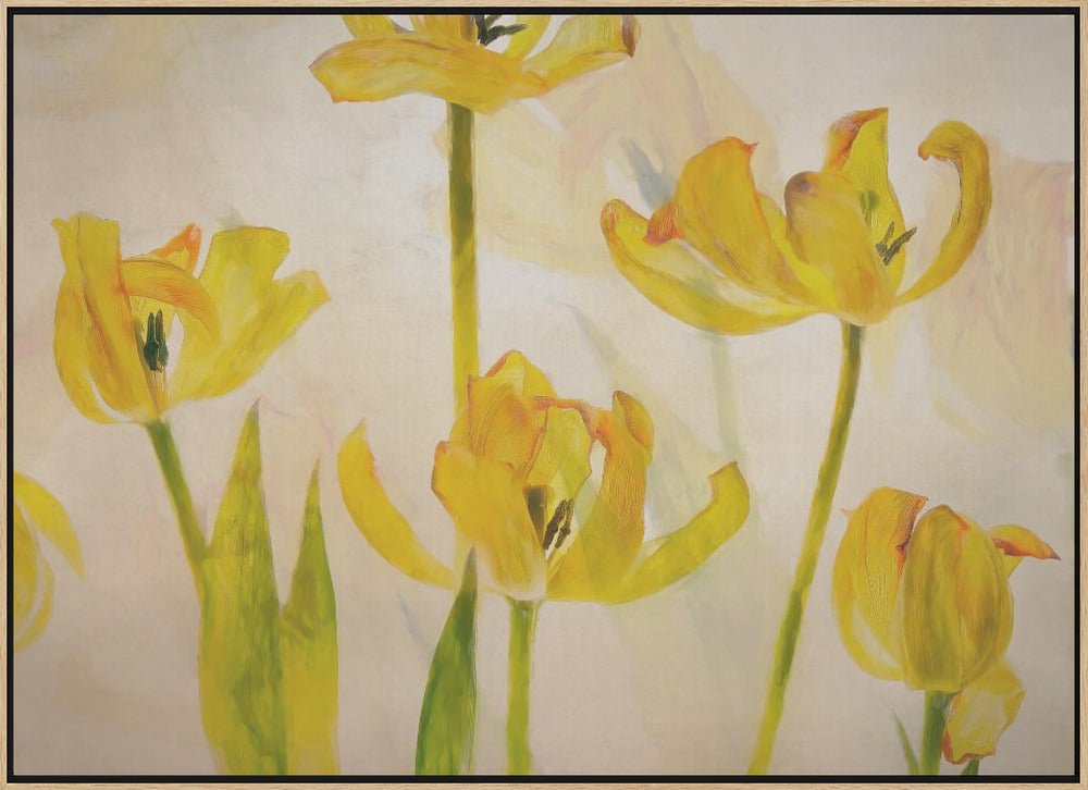 Flowering tulips - Stretched Canvas, Poster or Fine Art Print I Heart Wall Art
