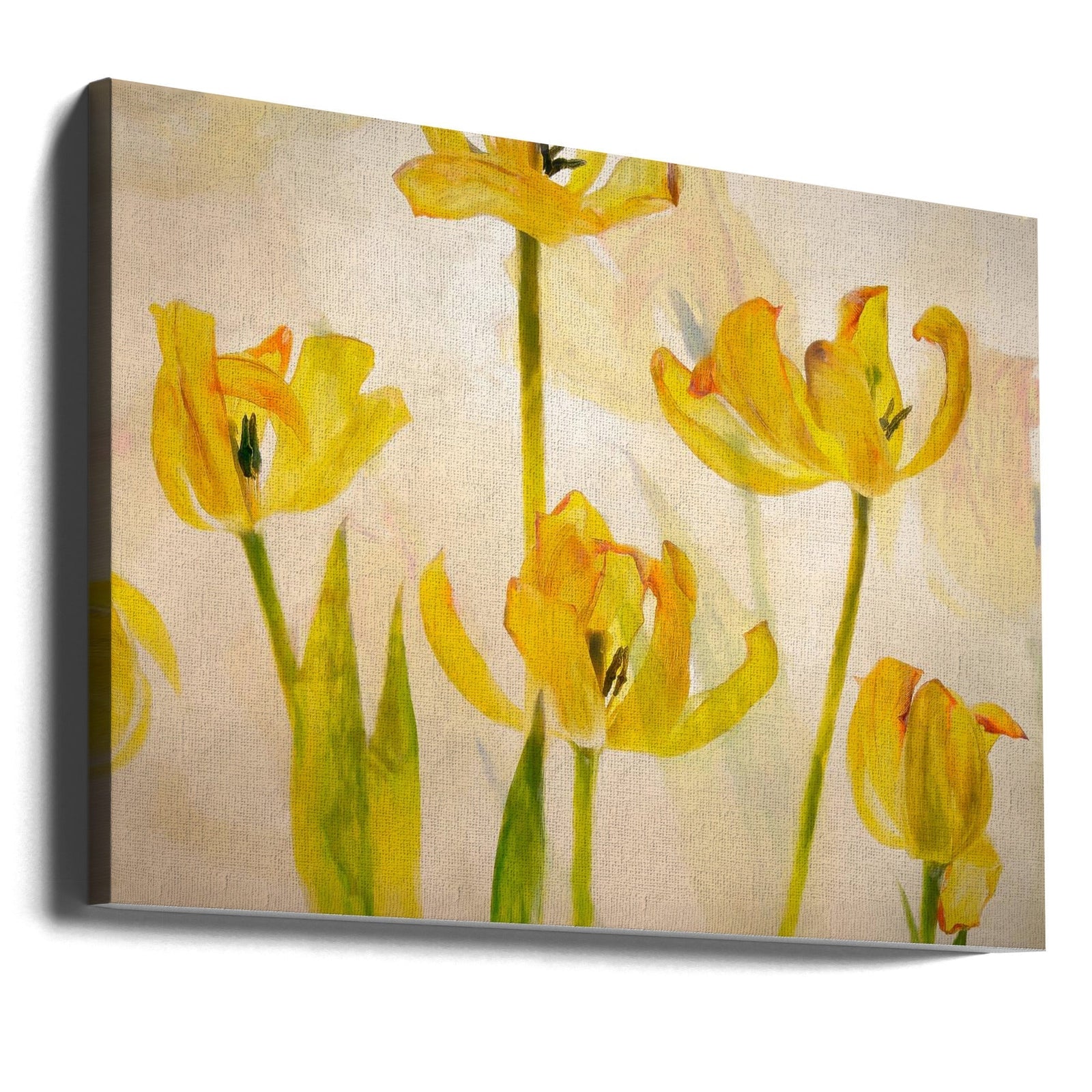 Flowering tulips - Stretched Canvas, Poster or Fine Art Print I Heart Wall Art
