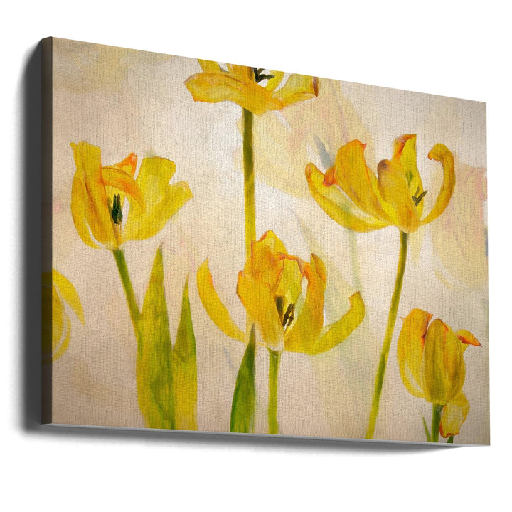 Flowering tulips - Stretched Canvas, Poster or Fine Art Print I Heart Wall Art