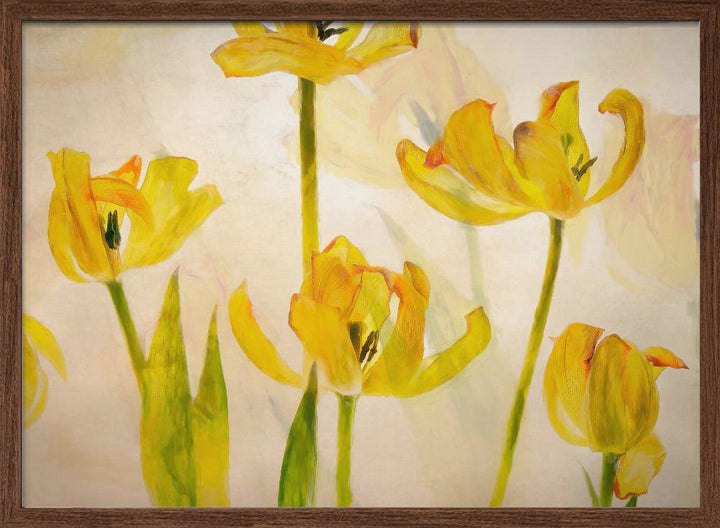 Flowering tulips - Stretched Canvas, Poster or Fine Art Print I Heart Wall Art