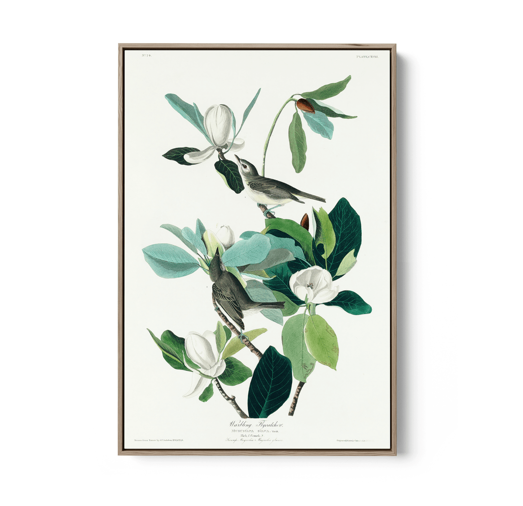 Flying Warbler by John James Audubon - Stretched Canvas or Framed Fine Art Print - I Heart Wall Art - Poster Print, Canvas Print or Framed Art Print