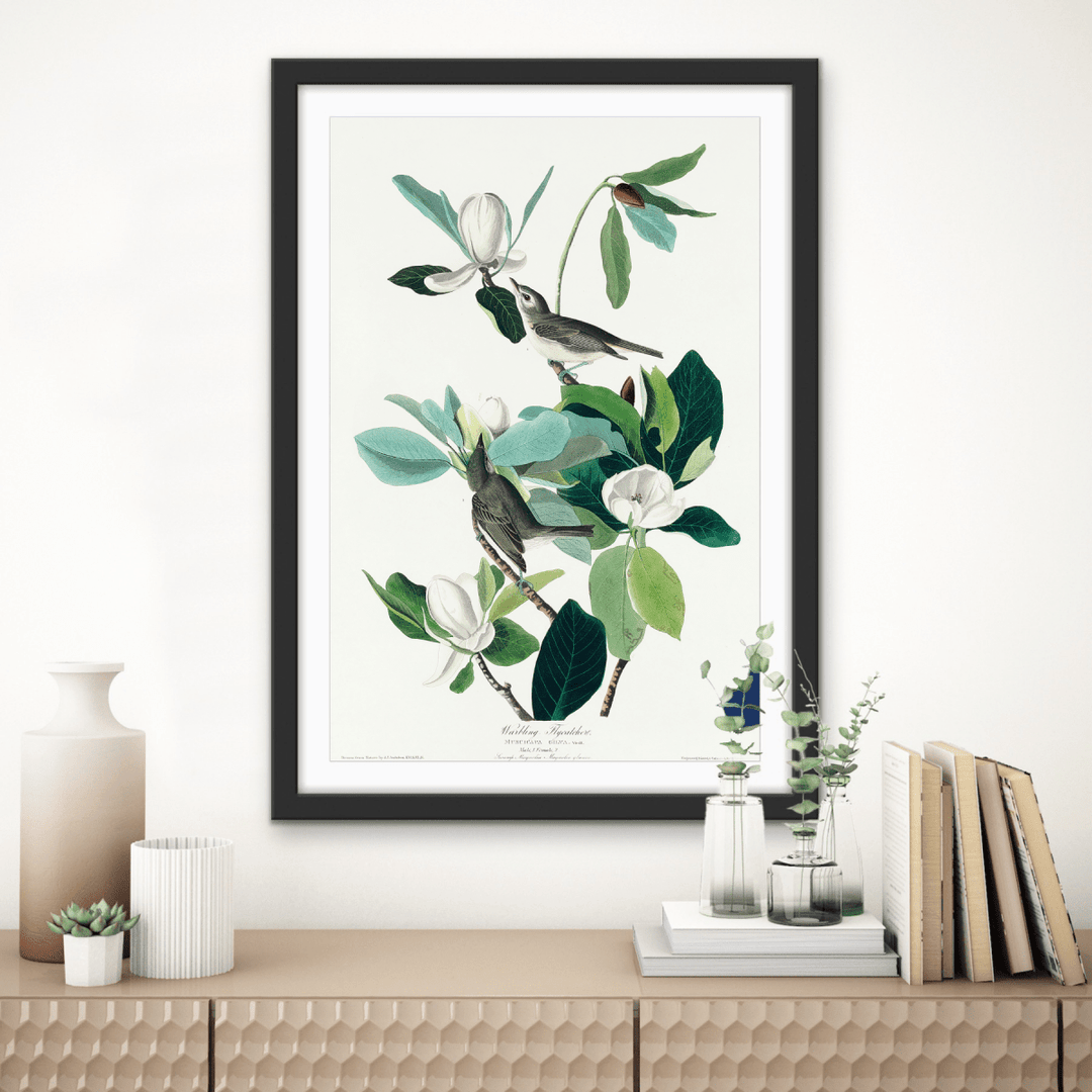 Flying Warbler by John James Audubon - Stretched Canvas or Framed Fine Art Print - I Heart Wall Art - Poster Print, Canvas Print or Framed Art Print