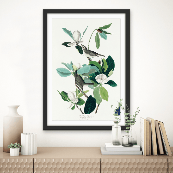 Flying Warbler by John James Audubon - Stretched Canvas or Framed Fine Art Print - I Heart Wall Art - Poster Print, Canvas Print or Framed Art Print