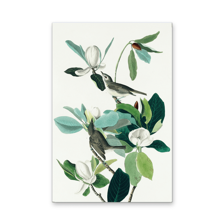 Flying Warbler by John James Audubon - Stretched Canvas or Framed Fine Art Print - I Heart Wall Art - Poster Print, Canvas Print or Framed Art Print