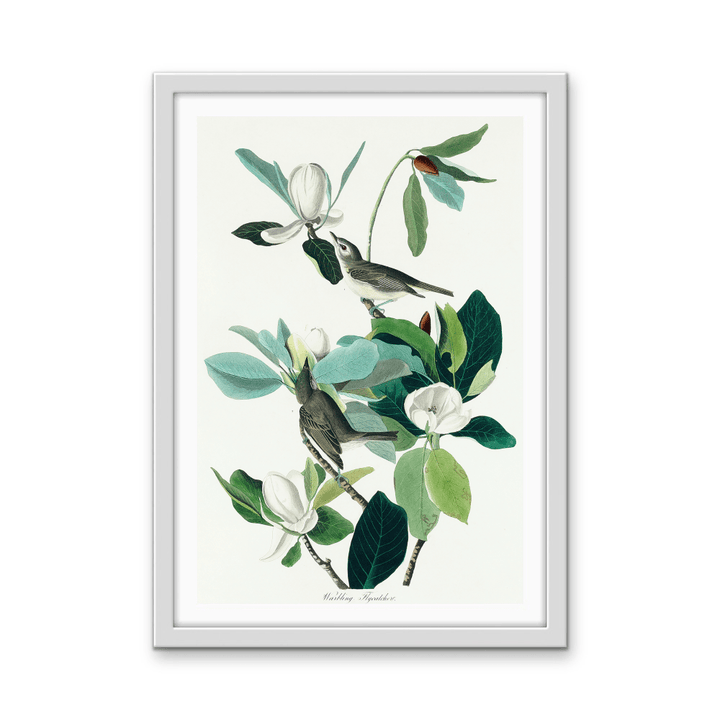 Flying Warbler by John James Audubon - Stretched Canvas or Framed Fine Art Print - I Heart Wall Art - Poster Print, Canvas Print or Framed Art Print
