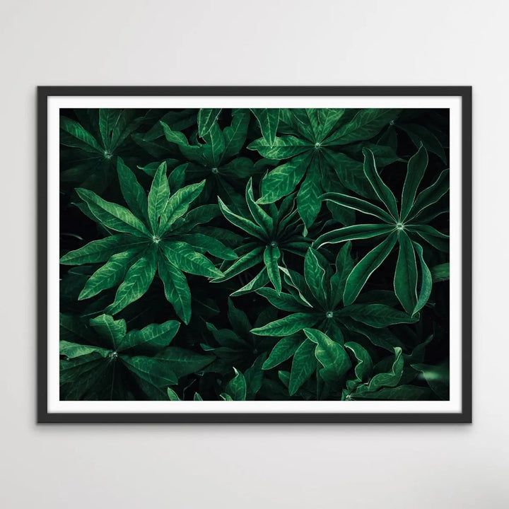 Foliage From Above - Aerial Photographic Print Of Green Plants I Heart Wall Art Australia 