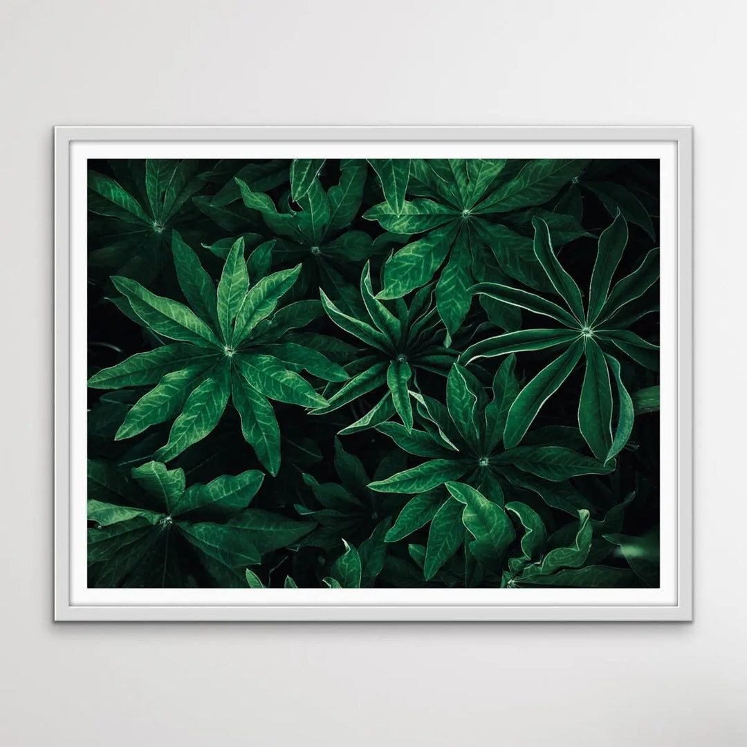 Foliage From Above - Aerial Photographic Print Of Green Plants I Heart Wall Art Australia 