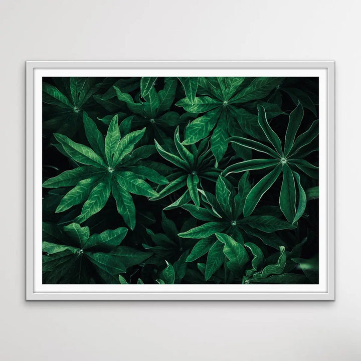 Foliage From Above - Aerial Photographic Print Of Green Plants I Heart Wall Art Australia 