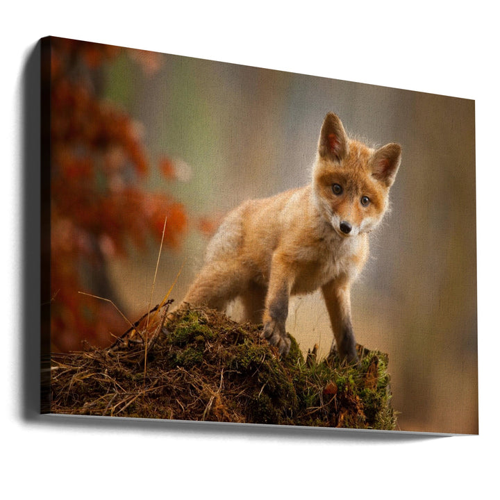 Fox - Stretched Canvas, Poster or Fine Art Print I Heart Wall Art