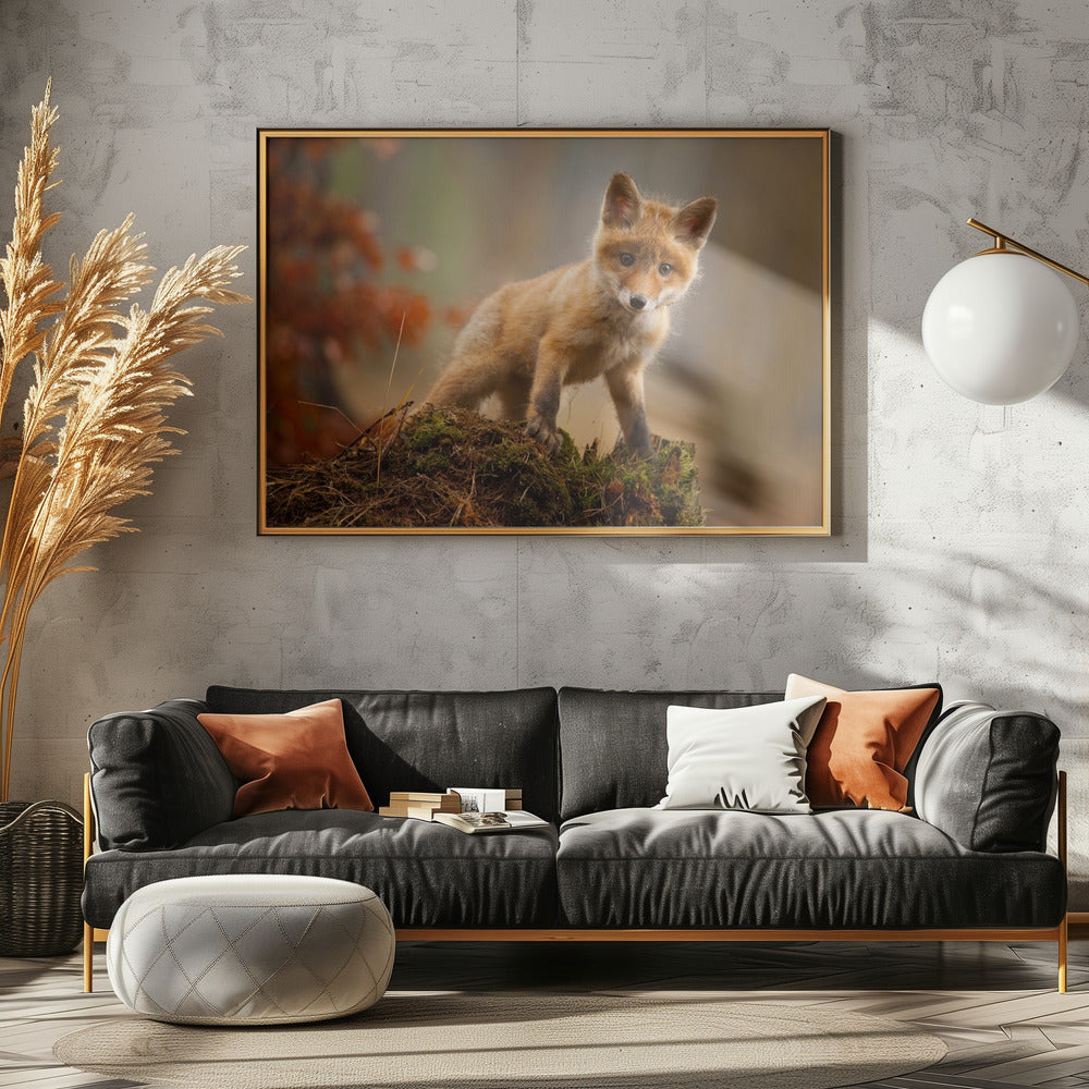 Fox - Stretched Canvas, Poster or Fine Art Print I Heart Wall Art