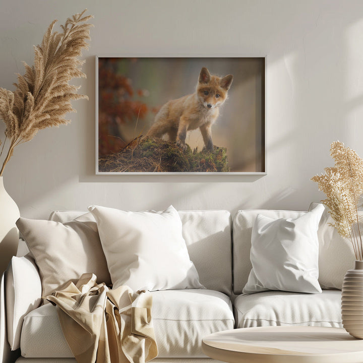 Fox - Stretched Canvas, Poster or Fine Art Print I Heart Wall Art