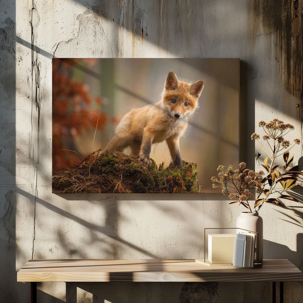 Fox - Stretched Canvas, Poster or Fine Art Print I Heart Wall Art