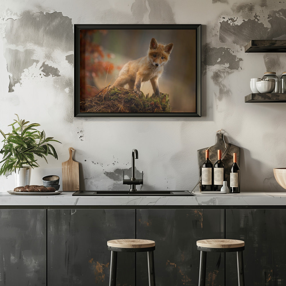 Fox - Stretched Canvas, Poster or Fine Art Print I Heart Wall Art