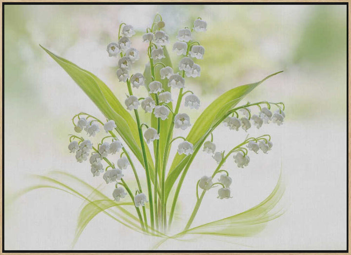 Fresh Lily of the Valley - Stretched Canvas Poster or Fine Art Print