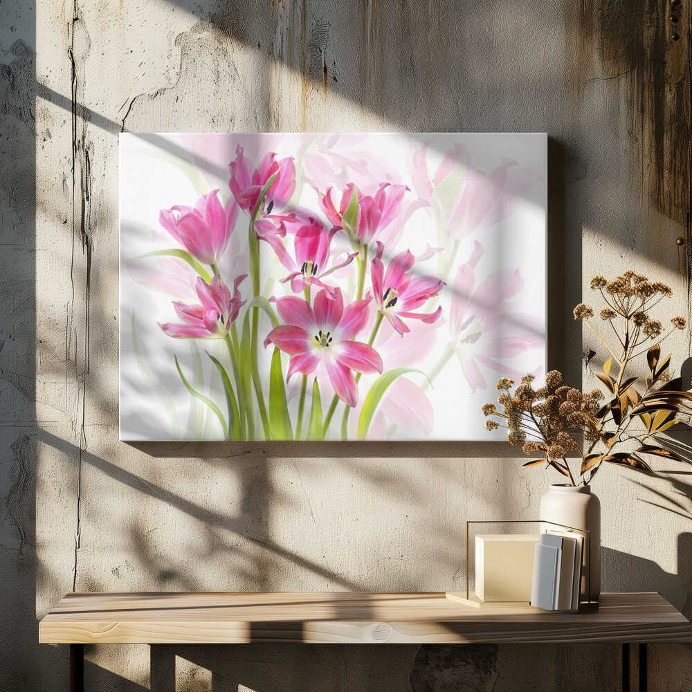 Fresh Pink Tulips - Floral Photographic Stretched Canvas Poster or Fine Art Print