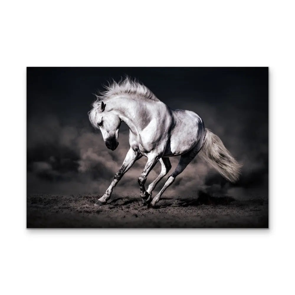Frolick - Horse Leaping Stretched Canvas Print or Framed Fine Art Print I Heart Wall Art Australia