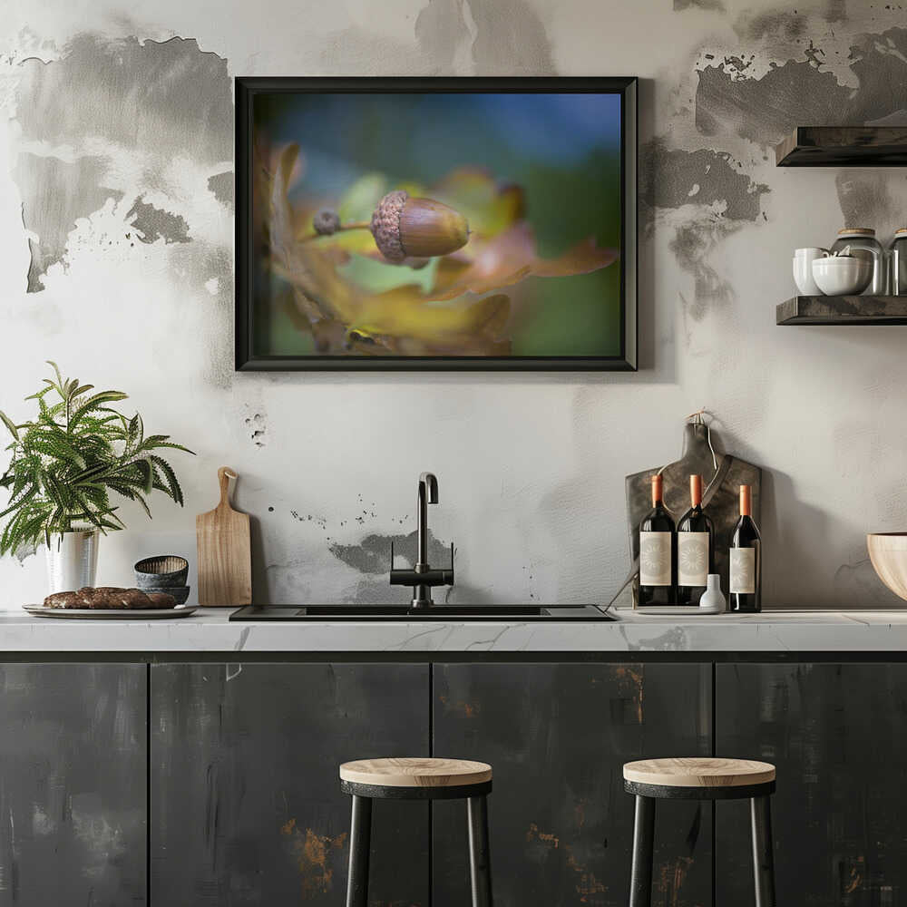 From little Acorns - Floral Photographic Stretched Canvas Poster or Fine Art Print