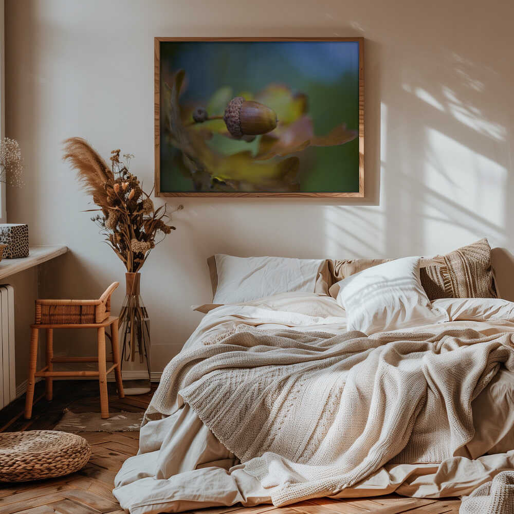 From little Acorns - Floral Photographic Stretched Canvas Poster or Fine Art Print