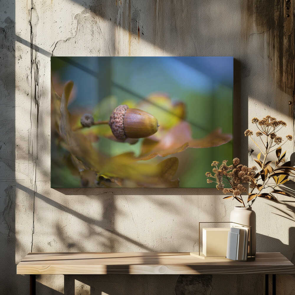 From little Acorns - Floral Photographic Stretched Canvas Poster or Fine Art Print