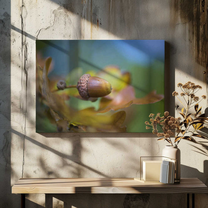 From little Acorns - Floral Photographic Stretched Canvas Poster or Fine Art Print
