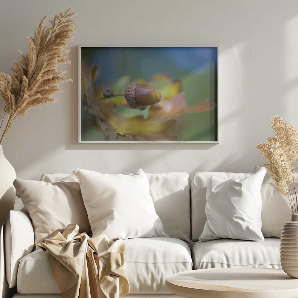 From little Acorns - Floral Photographic Stretched Canvas Poster or Fine Art Print