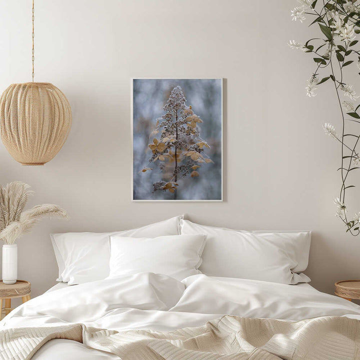 Frosted Winter Plant - Stretched Canvas Poster or Fine Art Print