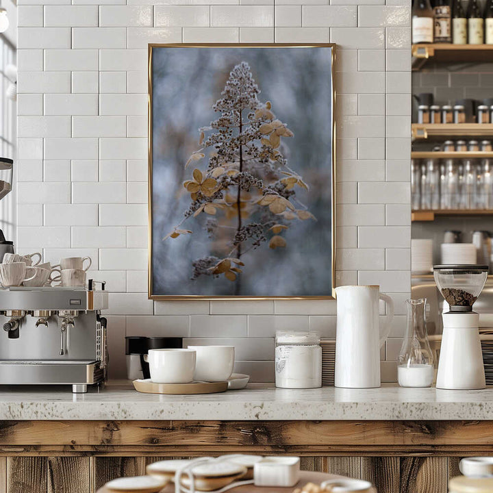 Frosted Winter Plant - Stretched Canvas Poster or Fine Art Print