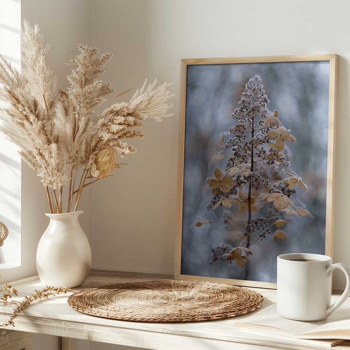 Frosted Winter Plant - Stretched Canvas Poster or Fine Art Print